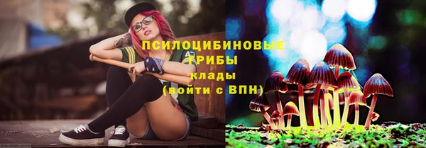 соль ск Бородино