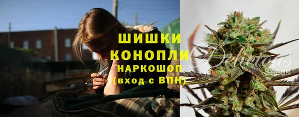 сатива Верея